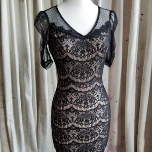 Black Scallop Lace Sheath Dress